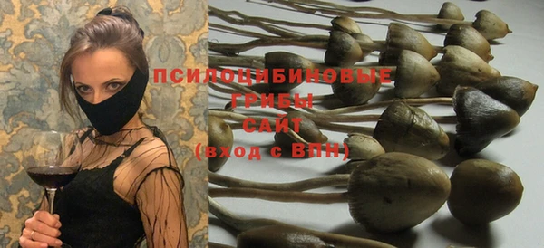 каннабис Щёлкино