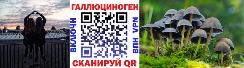 Купить  Спас-Клепики  Галлюциногенные грибы Psilocybe 