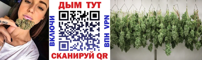 Купить закладки  Спас-Клепики  Шишки марихуана VHQ 